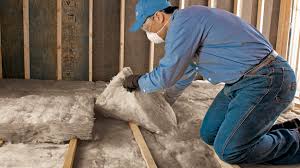 Best Basement Insulation  in Sugar Land, TX