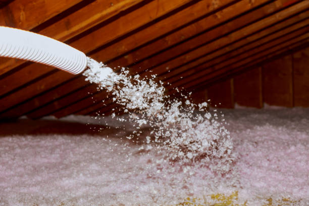 Insulation Air Sealing in Sugar Land, TX