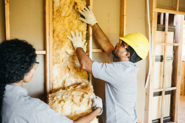 Best Wall Insulation Installation  in Sugar Land, TX